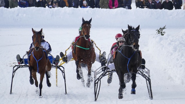 欧博官网-在线游戏领先开路者