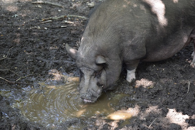 更對整個教 更對整個教
