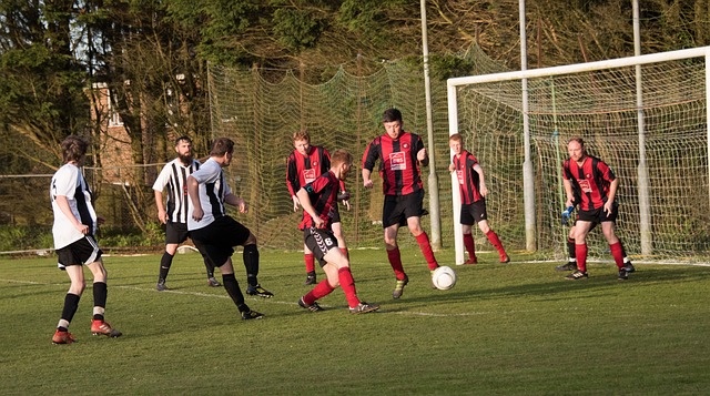 欧博官网-在线游戏领先开路者