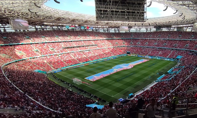 埃弗頓足球 埃弗頓足球