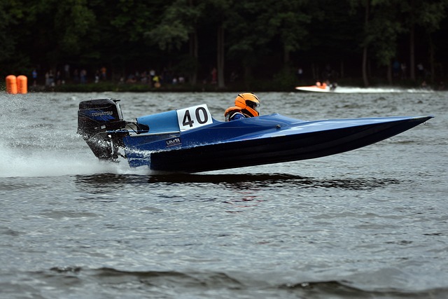 移民转移到 移民转移到